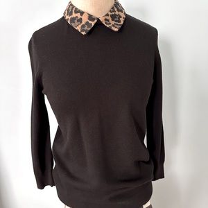 Talbots Chic black top w/ Leopard collar.